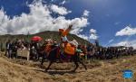 Sept.1,2021 -- A rider competes during a horse race in Gangdan Village of Gonggar County, southwest China`s Tibet Autonomous Region, Aug. 26, 2021. An annual horse racing event was held here on Thursday to celebrate the upcoming harvest season. (Xinhua/Jigme Dorje)