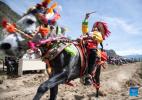 Sept.1,2021 -- A rider competes during a horse race in Gangdan Village of Gonggar County, southwest China`s Tibet Autonomous Region, Aug. 26, 2021. An annual horse racing event was held here on Thursday to celebrate the upcoming harvest season. (Xinhua/Sun Ruibo)
