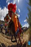 Sept.1,2021 -- A rider competes during a horse race in Gangdan Village of Gonggar County, southwest China`s Tibet Autonomous Region, Aug. 26, 2021. An annual horse racing event was held here on Thursday to celebrate the upcoming harvest season. (Xinhua/Jigme Dorje)