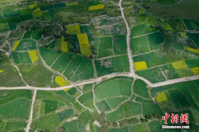 Aerial view of summer idyllic scenery in Nyemo County, Tibet