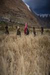 Villagers harvest highland barley at Ombu Township, Nyima County, Nagqu City of southwest China`s Tibet Autonomous Region, Sept. 23, 2021. (Xinhua/Sun Ruibo)