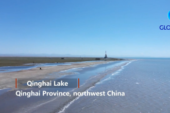 Diplomats praise ecological protection of China’s Qinghai Lake