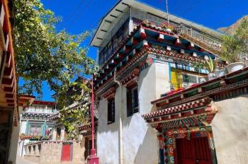 Century-old Tibetan village revives after renovation in Tibet