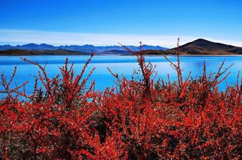 Winter scenery of Yamdrok Lake in China's Tibet