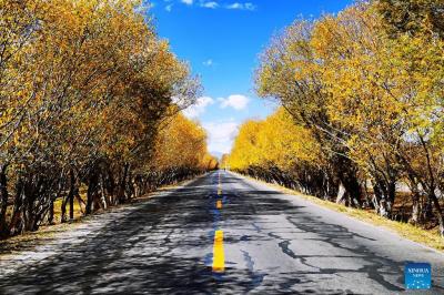 In pics: road view in China's Tibet