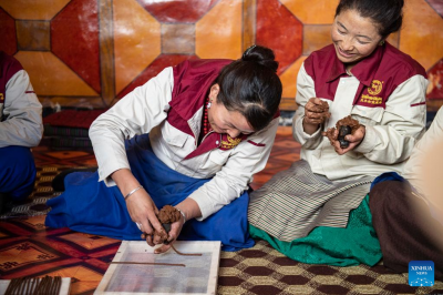 Centuries-old handicrafts bring better lives to locals in Tibet