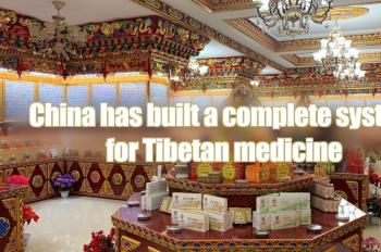 China builds complete system for Tibetan medicine