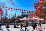 Red lanterns are seen at Zongjiaolukang Park in Lhasa, capital of southwest China`s Tibet autonomous region, Jan. 29, 2022. (Photo/China News Service)