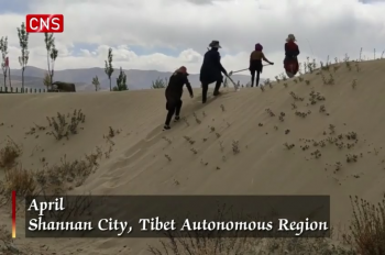 Tibetan famers, herdsmen plant trees to build ecological corridor