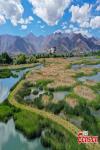 Summer scenery at Lalu Wetland National Nature Reserve in Lhasa, southwest China`s Tibet Autonomous Region, May 24, 2022. Lalu wetland, known as `the Lung of Lhasa` is the highest natural wetland in China. (Photo/China News Service)