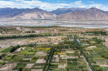 Paljor and his plant nursery along Yarlung Zangbo River in Tibet