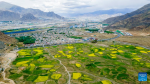 Aerial photo taken on June 9, 2022 shows view of Lhasa city, southwest China`s Tibet Autonomous Region. Southwest China`s Tibet Autonomous Region remains one of the best environmental areas in the world, with local biodiversity and ecosystems remaining stable in 2021, according to a report issued on June 2, 2022. (Xinhua/Zhou Dixiao)