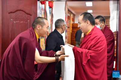 Panchen Rinpoche performs duties at Tibet branch of Buddhist Association of China