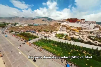 Tibet’s rural residents enjoy improved livelihood over past decade