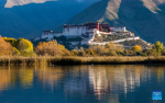 This photo taken on Nov. 5, 2022 shows the Lhalu wetland in Lhasa, southwest China`s Tibet Autonomous Region. (Xinhua/Jiang Fan)
