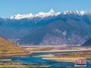 Beautiful winter scenery of the Yani National Wetland Park with snow capped mountain in the background in Nyingchi, southwest China`s Tibet Autonomous Region, Nov. 19, 2022. (Photo: China News Service/Dong Zhixiong)