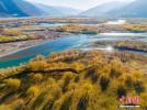 Beautiful winter scenery of the Yani National Wetland Park in Nyingchi, southwest China`s Tibet Autonomous Region, Nov. 19, 2022. (Photo: China News Service/Dong Zhixiong)