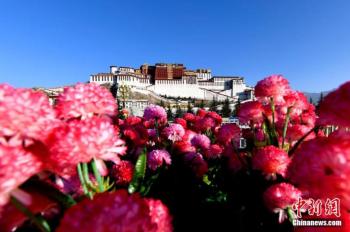 Iconic palaces reopen in Lhasa