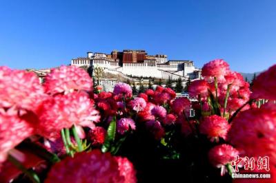 Iconic palaces reopen in Lhasa