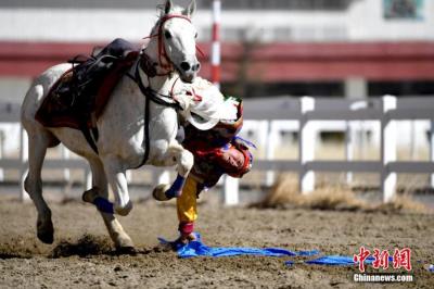 Horse racing held to celebrate Tibetan New Year