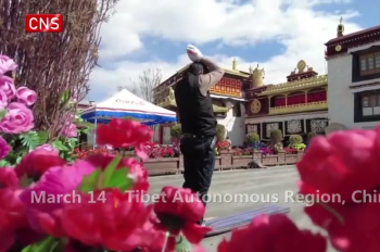 Ancient street in Lhasa thrives in early Spring
