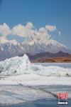 Melting Iice floes are seen in Lake Manasarovar, Purang County, Ngari Prefecture, Tibet Autonomous Region, April 21, 2023. The frozen lake has started to thaw as the temperature rises in spring. (Photo: China News Service/Liu Xiaodong)