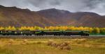 A train moves along on the Qinghai-Tibet Railway. [Photo provided to chinadaily.com.cn]