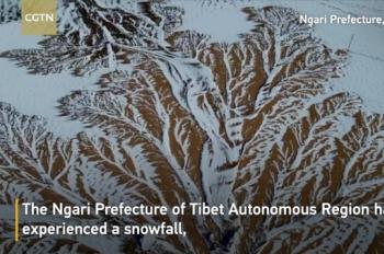 Tree-like shapes appear after snow in Tibet's Ngari