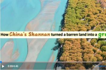 How China's Shannan turned barren land into green oasis
