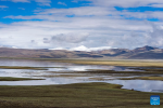 This photo taken on July 4, 2023 shows a view of the wetland by the Puma Yumco Lake in Nagarze County of Shannan, southwest China`s Tibet Autonomous Region. (Xinhua/Chen Shangcai)