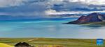 This photo taken on Aug. 19, 2023 shows a view of Zhari Namco Lake in Ali, southwest China`s Tibet Autonomous Region. (Xinhua/Zhang Rufeng)