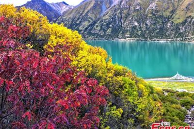 Lhari County in Tibet ushers into golden autumn