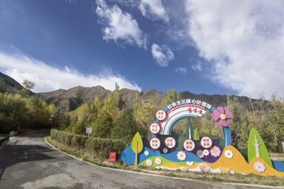 Lhasa mountains to be upgraded with latest round of afforestation