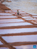 A villager works at a salt field in Naxi Ethnic Township of Markam County in the city of Qamdo, southwest China`s Tibet Autonomous Region, Oct. 20, 2023.(Xinhua/Sun Fei)