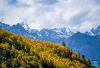 This photo shows autumn scenery of Hongla Mountain with snow mountains in the background in Mangkam County, Qamdo, southwest China`s Tibet Autonomous Region, Oct. 20, 2023. (Xinhua/Sun Fei)