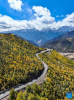 This aerial photo shows autumn scenery of Hongla Mountain in Mangkam County, Qamdo, southwest China`s Tibet Autonomous Region, Oct. 20, 2023. (Xinhua/Sun Fei)