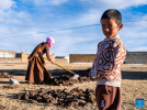 A boy helps his mother make cow dung cakes to be used as heating fuel at a winter pasture in Dabug Village of Damxung County, southwest China`s Xizang Autonomous Region, Nov. 10, 2023. (Xinhua/Sun Fei)