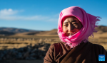 A herdswoman is pictured at a winter pasture in Dabug Village of Damxung County, southwest China`s Xizang Autonomous Region, Nov. 10, 2023. (Photo by Tenzin Nyida/Xinhua)
