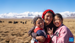 Sichod Drolma (R) and her father and sister are pictured as they pasture on the grassland in Damxung County, southwest China`s Xizang Autonomous Region, Nov. 15, 2023. (Photo by Tenzin Nyida/Xinhua)
