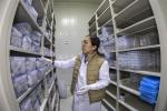 A researcher checks the samples in the germplasm resource bank in Southwest China`s Xizang autonomous region, Nov 30, 2023. [Photo/Xinhua]