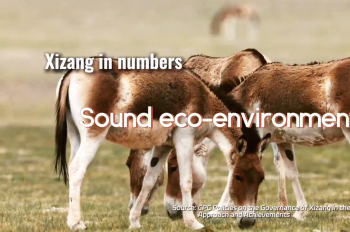 Xizang in numbers: Sound eco-environment