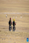 Rangers patrol to monitor Tibetan antelopes at the Qiangtang National Nature Reserve in the northern part of southwest China`s Xizang Autonomous Region, Dec. 17, 2023. Winter is the mating season for Tibetan antelopes living at the Qiangtang National Nature Reserve. The three-week mating season is the only period of time throughout the year when a male antelope is seen together with the female ones.  Dubbed the `paradise of wild animals,` Qiangtang National Nature Reserve is home to over 30 kinds of wild animals listed on national-level protection catalogue, including Tibetan antelopes and wild yaks. (Xinhua/Jiang Fan)