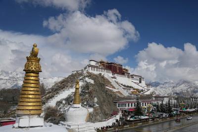 In pics: snow falls in Lhasa