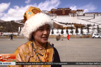 Chinese New Year: ​New Year's Wishes in Potala Palace