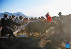 Farmers participate in a ceremony marking the start of spring farming in Codoi Town in Lhunzhub County of Lhasa, southwest China`s Xizang Autonomous Region, March 16, 2024. (Xinhua/Zhang Rufeng) 