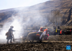 Farmers participate in a ceremony marking the start of spring farming in Gyaimain Village in Qonggyai County of Shannan, southwest China`s Xizang Autonomous Region, March 16, 2024. (Xinhua/Tenzing Nima Qadhup)