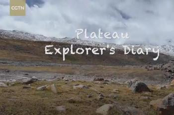 Vlog: Have you ever seen the plateau after an avalanche?
