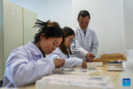 Dawa (R) instructs students in making insect specimens at the regional institute of plateau biology in Lhasa, southwest China`s Xizang Autonomous Region, April 22, 2024. (Xinhua/Tenzing Nima Qadhup)