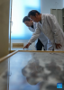 Dawa (R) and his colleague check on insect specimens at the regional institute of plateau biology in Lhasa, southwest China`s Xizang Autonomous Region, April 22, 2024. (Xinhua/Jigme Dorje)