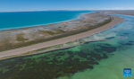 An aerial drone photo taken on June 22, 2024 shows the scenery of Serling Tso Lake in southwest China`s Xizang Autonomous Region.(Xinhua/Tenzin Nyida)